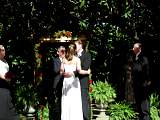 weddingp6160130.jpg