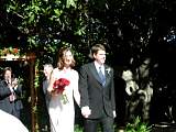 weddingp6160132.jpg